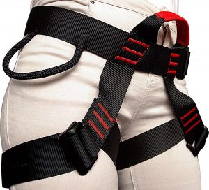 Climbing Harness