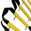 Emergency Escape Ladder 2 Storey 4m with Carabiners 6