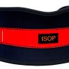 Safety Belt With Hip Pad 4