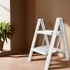 Step Folding Ladder