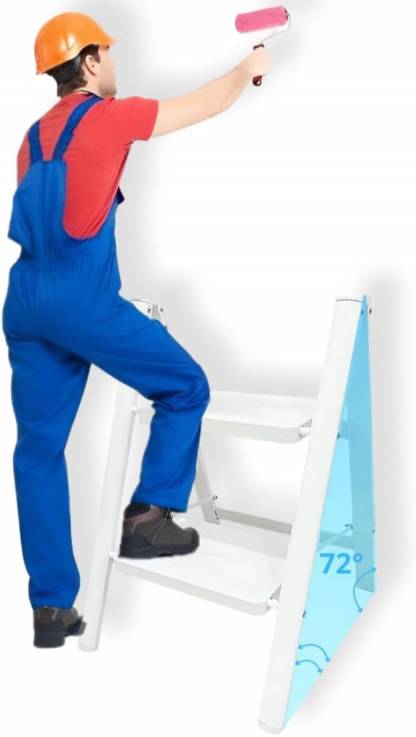 Step Folding Ladder