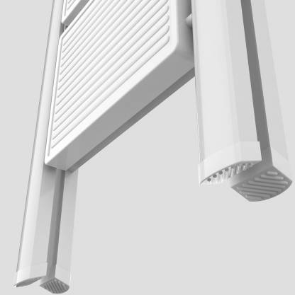 Folding Ladder