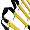 wall-fixed escape ladder