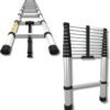 Telescopic Ladder